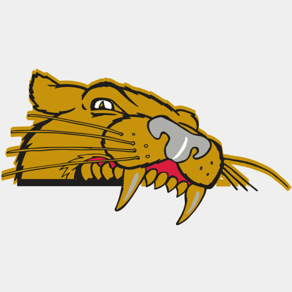 AR COUGAR 73 RC Thumbnail