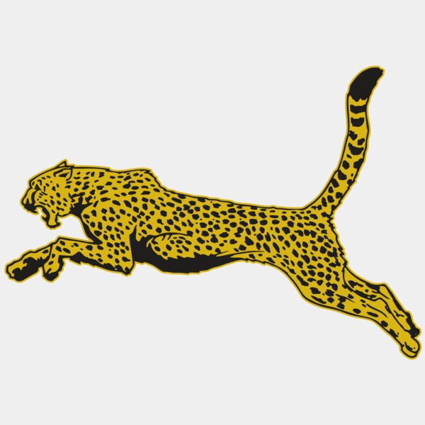 AR CHEETAH 10 RC Thumbnail