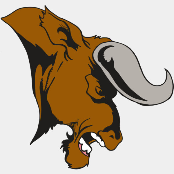 AR5 BULL 07 RQC Thumbnail