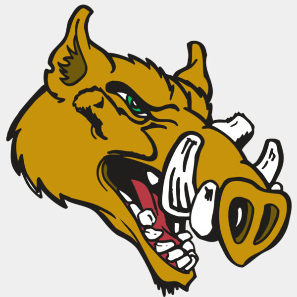 AR RAZORBACK 17 RC Thumbnail