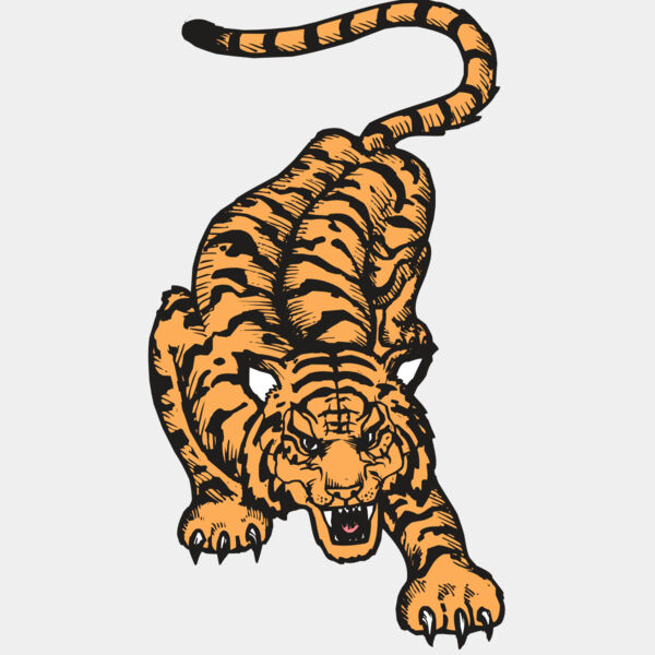 BAW TIGER 01 RC Thumbnail