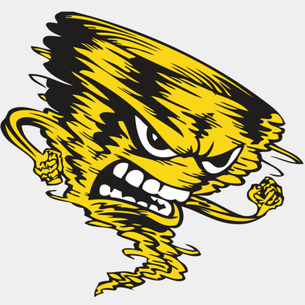 BAW STORM 08 RC Thumbnail