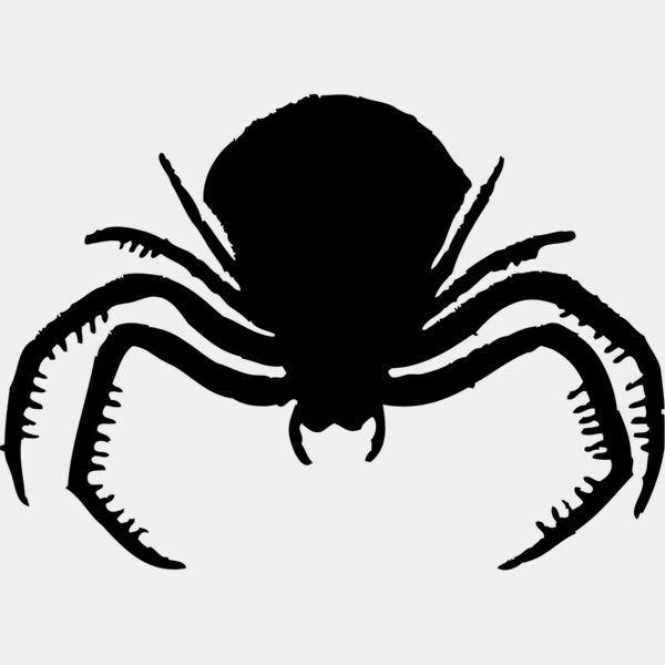 Spider Silhouette 22 Thumbnail